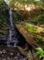 UniFalls fisheye