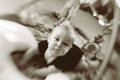 Lensbaby Baby