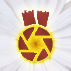 UDAr.jpg