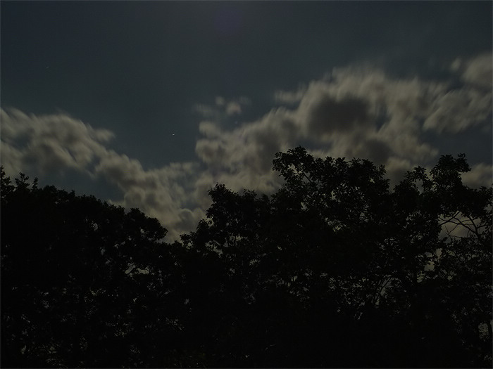 Light of the Moon