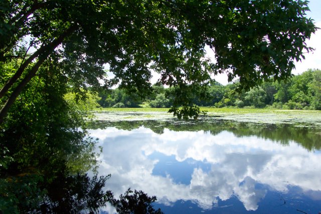 Cool Reflections