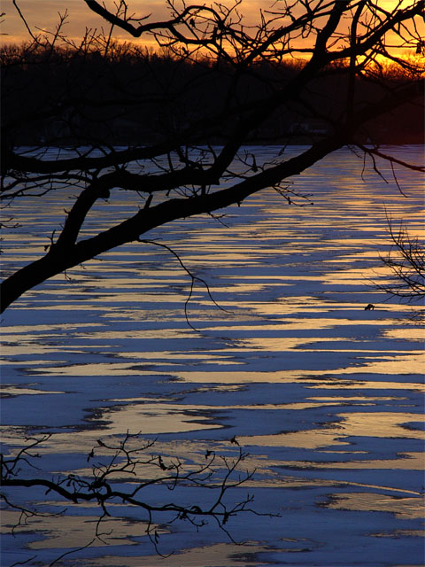 winterscape.jpg