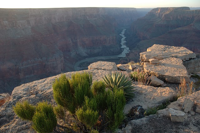 Colorado River at sunrise