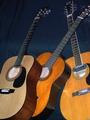 Too many to play at one time, so I photograph them!