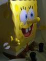 Sponge Bob