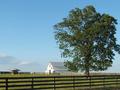 Farming in South Carolina