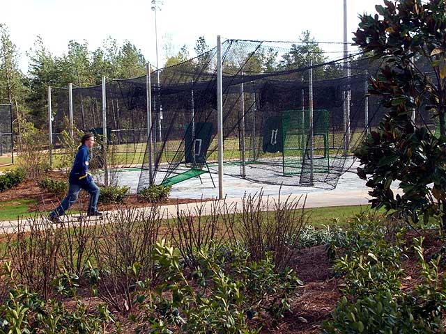 Scating through the park