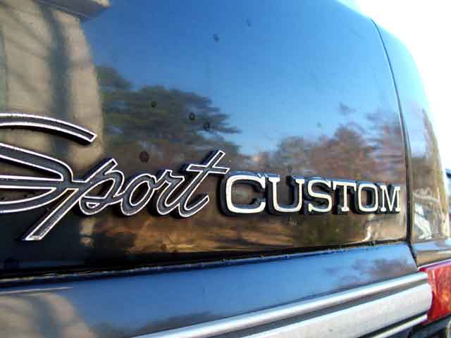 Sport Custom Ford F100