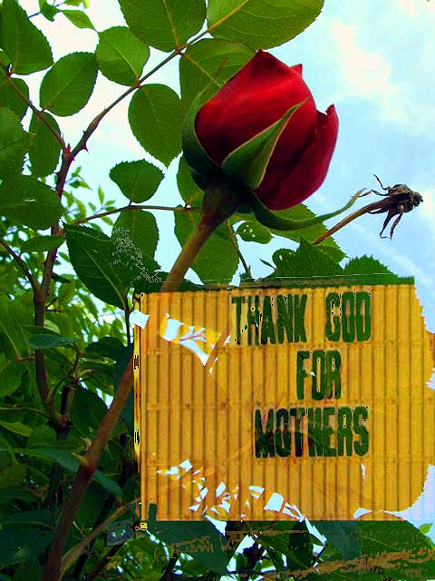 Thank God For Mothers