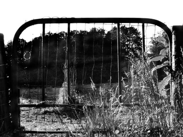 Bed Framed Gate