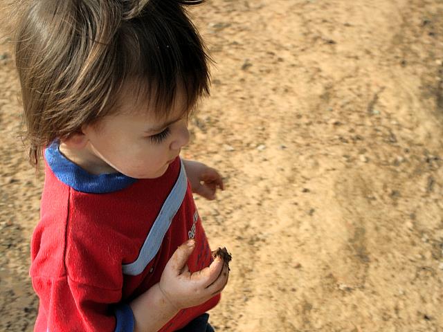 Discovering Dirt and Mud, Looks Like?