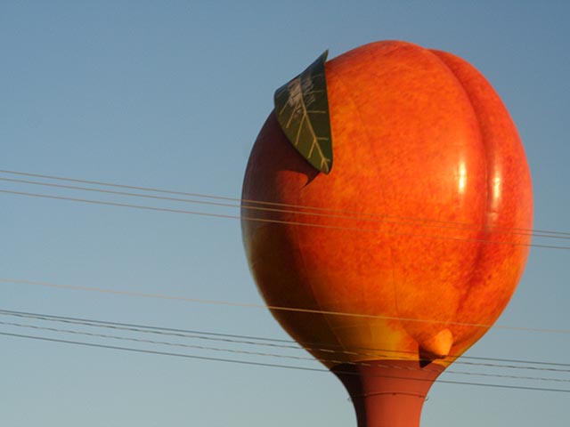 "Millions of peaches, peaches for free"