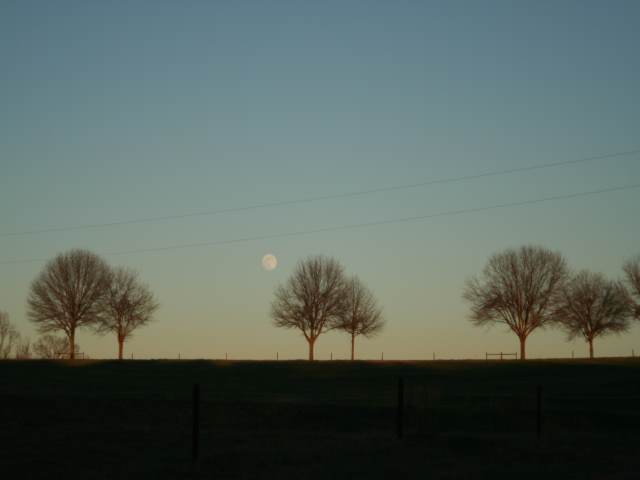 The moon rises..