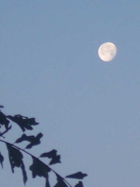 sunrisemoon3.jpg