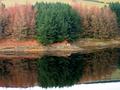 Reflections on Digley Dam