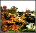Brimham Rocks 2