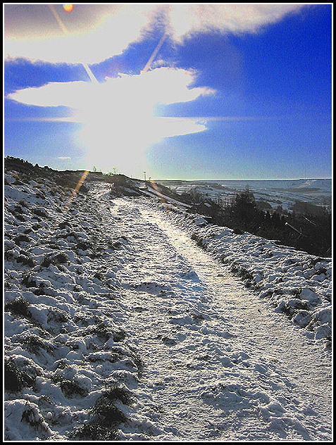 Into the Sun.jpg