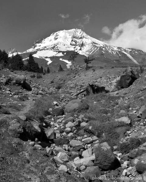 Mt. Hood