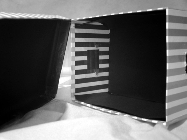 Pinhole Box