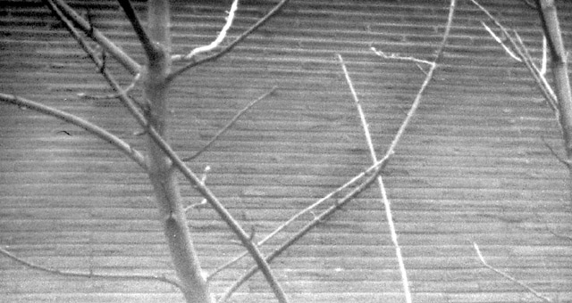 Pinhole 1
