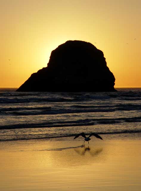 Sunset Takeoff