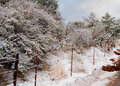 Snowy Sedona