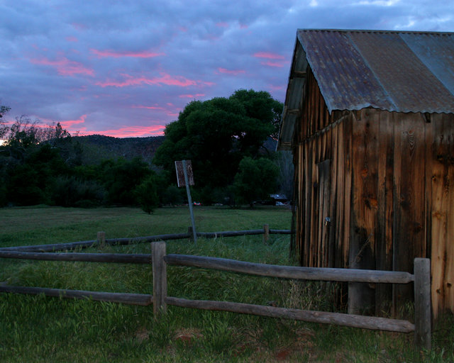 Twilight Meadow