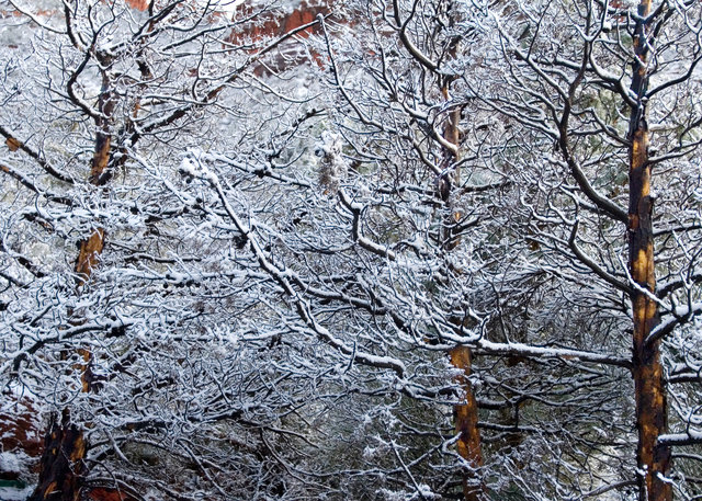 Sedona in Winter