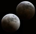 Eclipse Moon