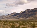 nevada-2.jpg