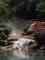 Sea World - Florida - Water Falls