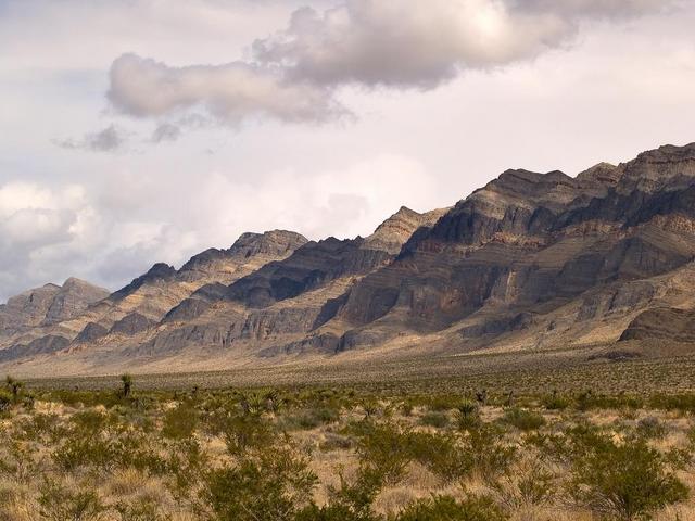 nevada-2.jpg