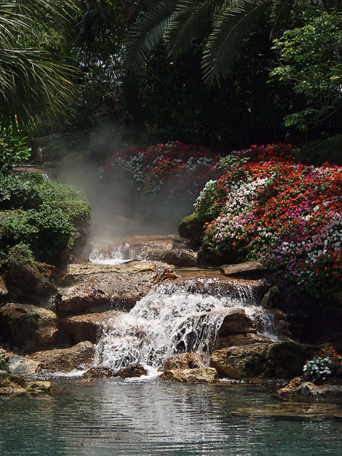 Sea World - Florida - Water Falls