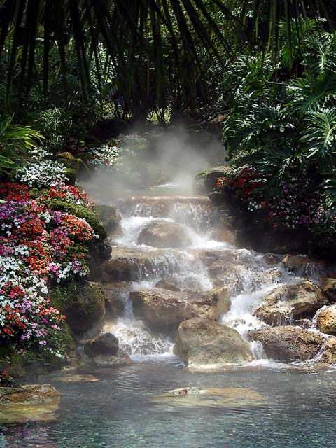 Sea World - Florida - Water Falls III