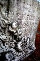 Grave Artistry