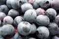 Blueberries in Detail