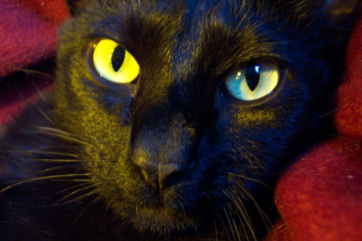 All Eyes
