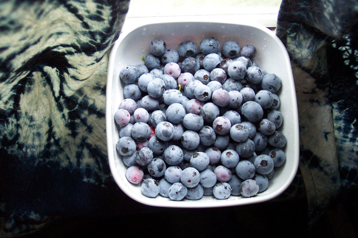 Blueberry Curtains