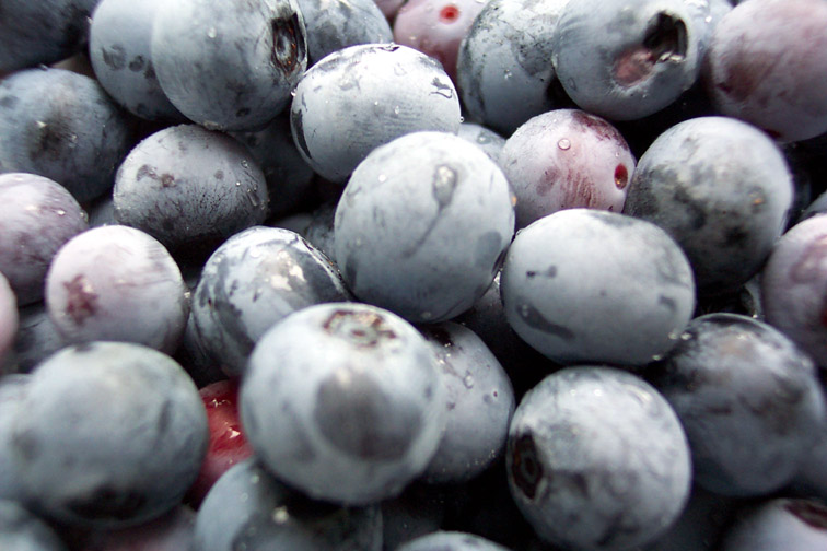 Blueberries in Detail