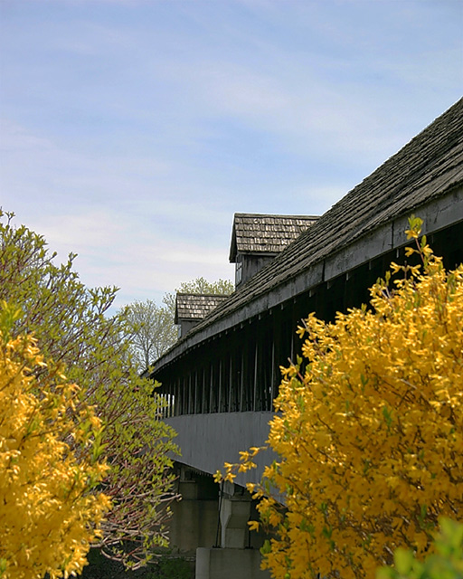 FreeXI-IMG_1206.jpg