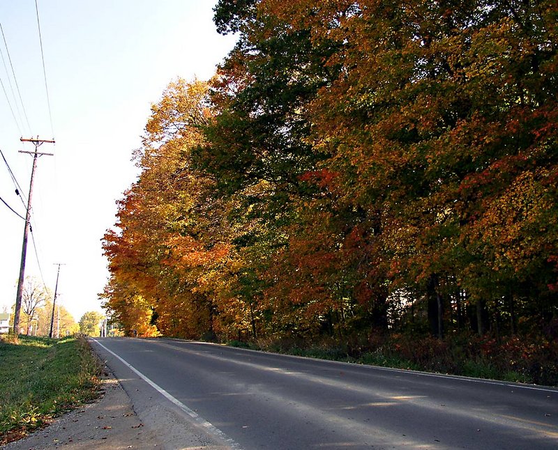 FallColors1