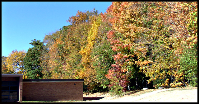Fallcolors4