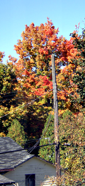 From My Bedroom Window