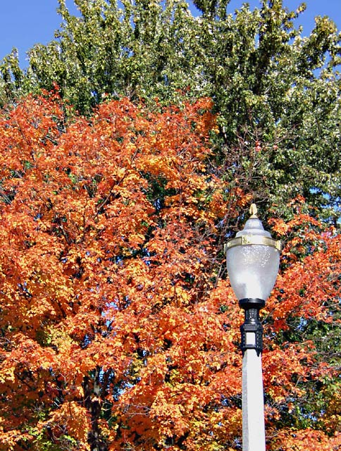 Fallcolors7