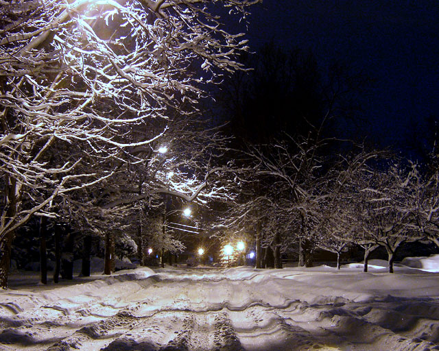 City Street at Night