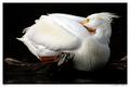 IMG_6684-01-8x12W.jpg