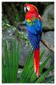 IMG_6923-02-8x12W.jpg