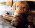 Jack-and-Jill.jpg