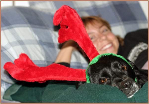 Santa's Little Helper