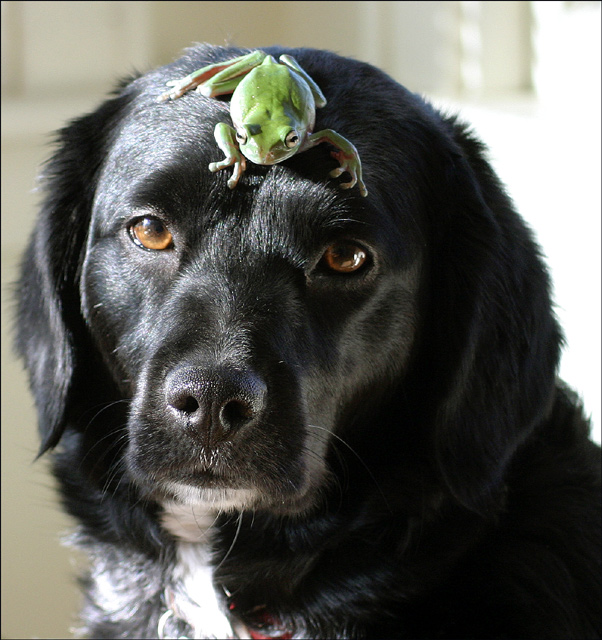 molly&mooch.jpg
